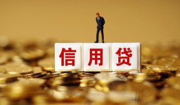 成都21哪有个人借贷-成都21小额贷款公司-成都21私借空放免费上门