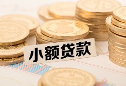 成都21身份证贷款平台-成都21私人借贷不查征信-成都21空放借钱