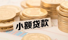 成都21身份证贷款平台-成都21私人借贷不查征信-成都21空放借钱