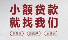 成都21民间贷款-成都21小额贷款不查征信-成都21贷款信用贷款